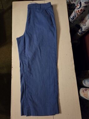 Kim Rogers Blue Women's Pants